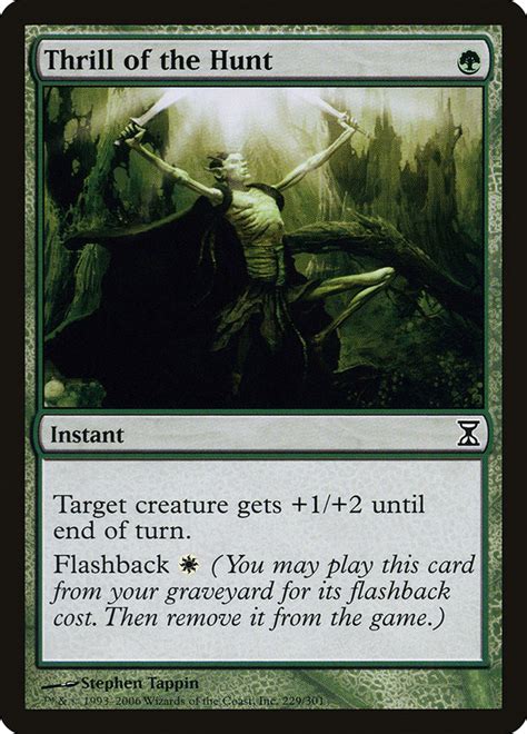 Maximizing Value: Finding Magic Cards That Will Appreciate Over Time